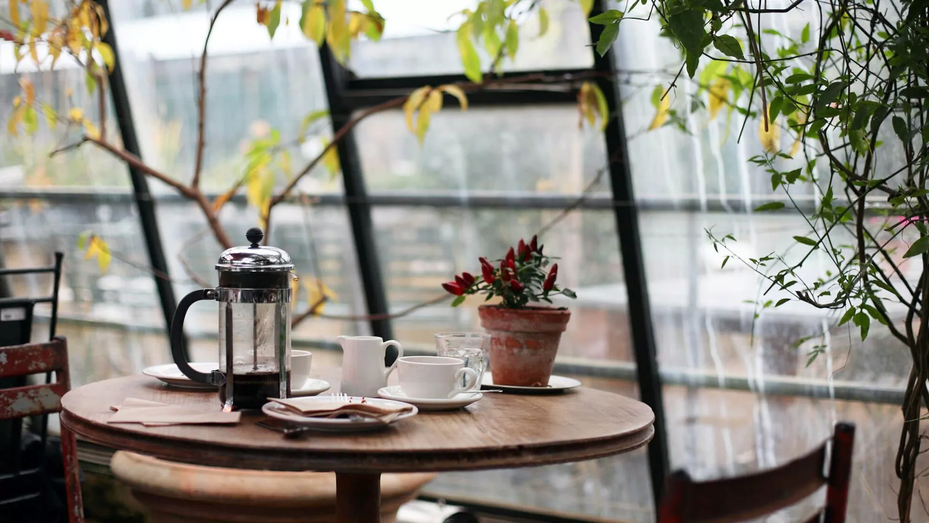 Café Bild von Unsplash (1)